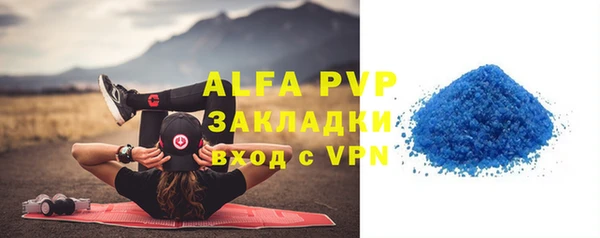 спиды Богданович