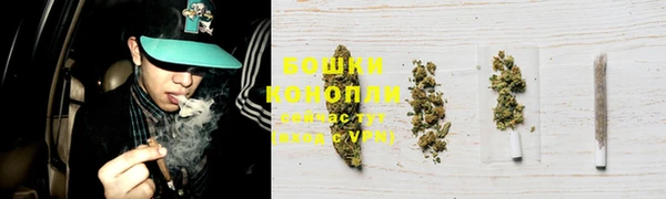 mix Богородицк