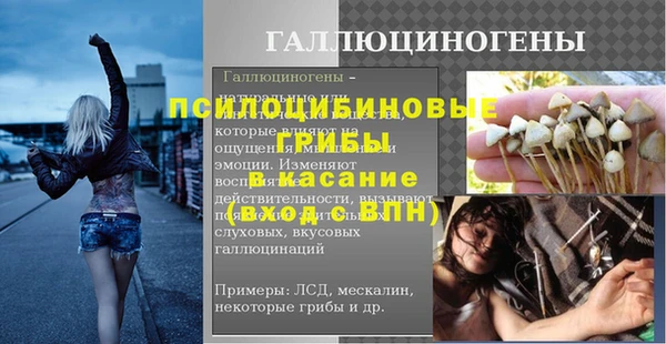 спиды Богданович