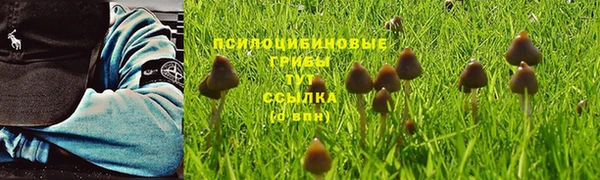 спиды Богданович