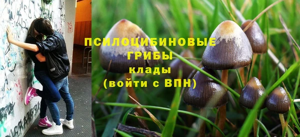mix Богородицк