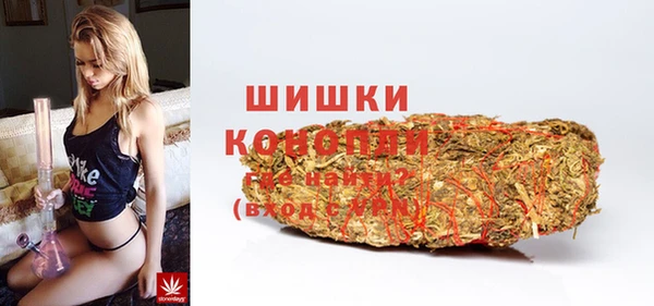 mix Богородицк